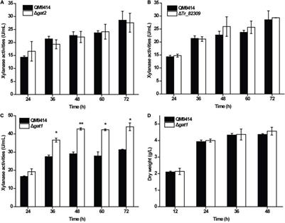 Elimination of the Sugar Transporter GAT1 Increased Xylanase I Production in Trichoderma reesei